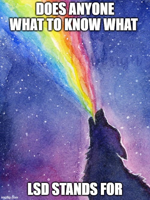 LSD | DOES ANYONE WHAT TO KNOW WHAT; LSD STANDS FOR | image tagged in howling wolf | made w/ Imgflip meme maker