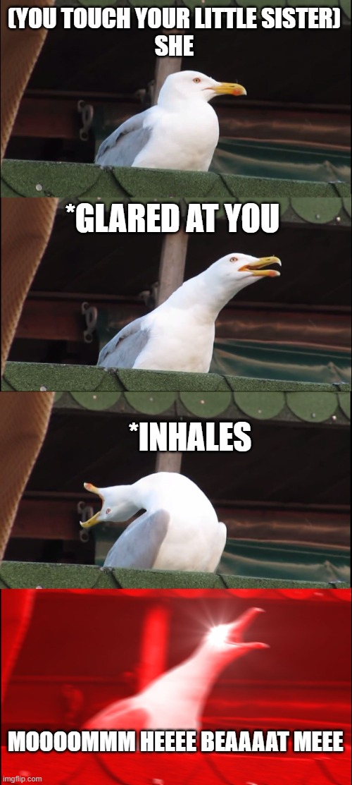 Inhaling Seagull | (YOU TOUCH YOUR LITTLE SISTER)
SHE; *GLARED AT YOU; *INHALES; MOOOOMMM HEEEE BEAAAAT MEEE | image tagged in memes,inhaling seagull | made w/ Imgflip meme maker