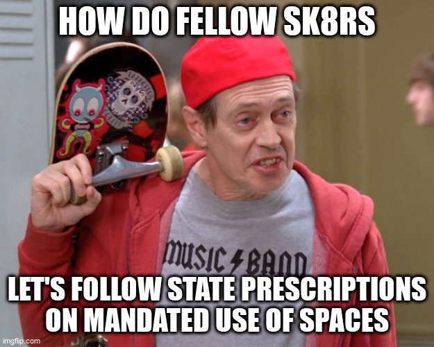 Steve Buscemi Fellow Kids | HOW DO FELLOW SK8RS; LET'S FOLLOW STATE PRESCRIPTIONS ON MANDATED USE OF SPACES | image tagged in steve buscemi fellow kids | made w/ Imgflip meme maker