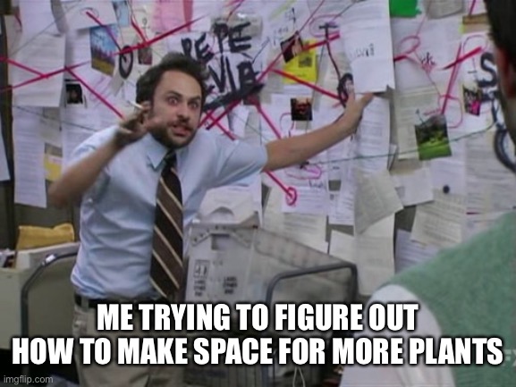 Charlie Day | ME TRYING TO FIGURE OUT HOW TO MAKE SPACE FOR MORE PLANTS | image tagged in charlie day | made w/ Imgflip meme maker