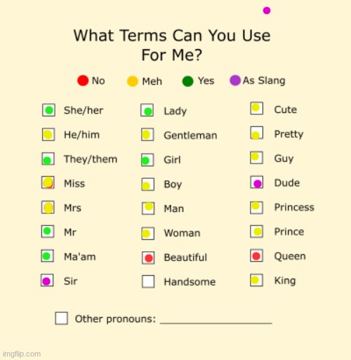 Pronouns Sheet | image tagged in pronouns sheet | made w/ Imgflip meme maker