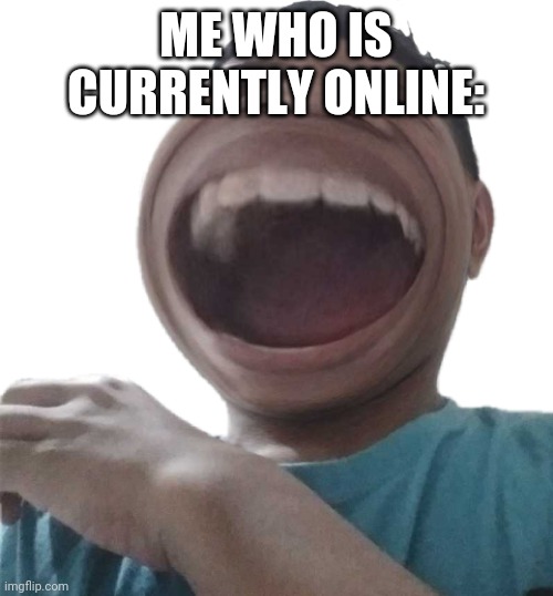 Ha | ME WHO IS CURRENTLY ONLINE: | image tagged in ha | made w/ Imgflip meme maker