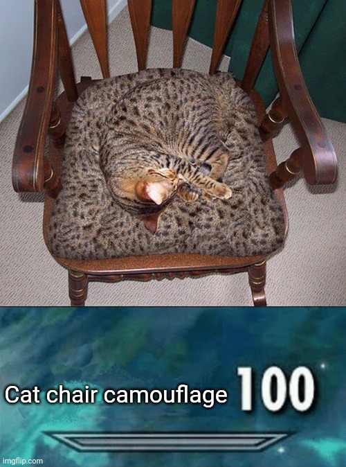 Cat chair camouflage | Cat chair camouflage | image tagged in skyrim skill meme,cats,cat,camouflage,memes,chair | made w/ Imgflip meme maker