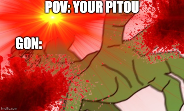 This is the last thing Pitou before his death | POV: YOUR PITOU; GON: | image tagged in funny memes | made w/ Imgflip meme maker