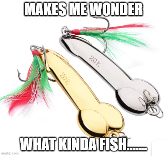 Fishermans treat | MAKES ME WONDER; WHAT KINDA FISH....... | image tagged in thinking | made w/ Imgflip meme maker