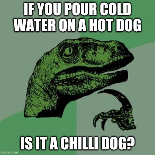 These are the real questions | IF YOU POUR COLD WATER ON A HOT DOG; IS IT A CHILLI DOG? | image tagged in memes,philosoraptor | made w/ Imgflip meme maker