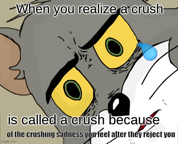 sad :( | When you realize a crush; is called a crush because; of the crushing sadness you feel after they reject you | image tagged in memes,unsettled tom,pls help,this is not okie dokie | made w/ Imgflip meme maker