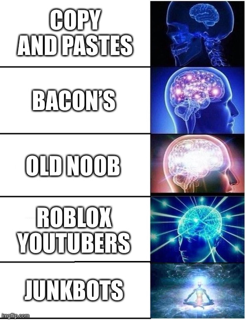 The brain size of roblox players | COPY AND PASTES; BACON’S; OLD NOOB; ROBLOX YOUTUBERS; JUNKBOTS | image tagged in expanding brain 5 panel | made w/ Imgflip meme maker