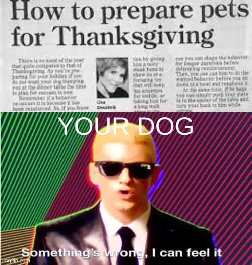 YOUR DOG | image tagged in something s wrong | made w/ Imgflip meme maker