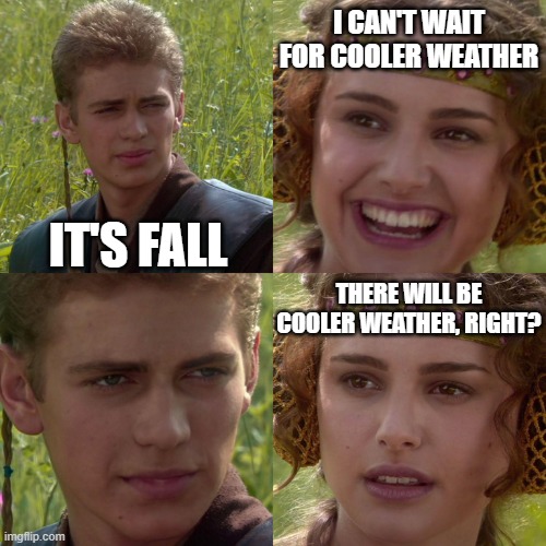 Fall of Anakin | I CAN'T WAIT FOR COOLER WEATHER; IT'S FALL; THERE WILL BE COOLER WEATHER, RIGHT? | image tagged in anakin padme 4 panel | made w/ Imgflip meme maker