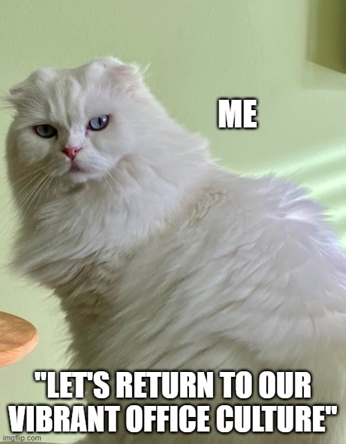 Let's return to our vibrant office culture" | ME; "LET'S RETURN TO OUR VIBRANT OFFICE CULTURE" | image tagged in the office | made w/ Imgflip meme maker