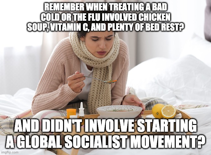 Socialism isn't going to fix the flu (covid-19) |  REMEMBER WHEN TREATING A BAD COLD OR THE FLU INVOLVED CHICKEN SOUP, VITAMIN C, AND PLENTY OF BED REST? AND DIDN'T INVOLVE STARTING A GLOBAL SOCIALIST MOVEMENT? | image tagged in politics,meme,chicken soup,flu,cold,covid | made w/ Imgflip meme maker