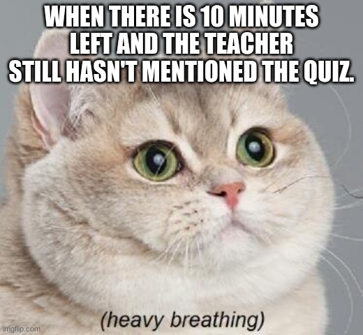 The hope still lives!!! | WHEN THERE IS 10 MINUTES LEFT AND THE TEACHER STILL HASN'T MENTIONED THE QUIZ. | image tagged in memes,heavy breathing cat | made w/ Imgflip meme maker