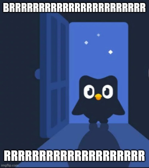 Duolingo bird | BRRRRRRRRRRRRRRRRRRRRRRR RRRRRRRRRRRRRRRRRRRR | image tagged in duolingo bird | made w/ Imgflip meme maker