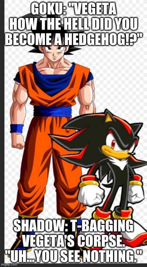 Dbz and Sonic cross over. | GOKU: "VEGETA HOW THE HELL DID YOU BECOME A HEDGEHOG!?"; SHADOW: T-BAGGING VEGETA'S CORPSE. "UH...YOU SEE NOTHING." | image tagged in crossover | made w/ Imgflip meme maker
