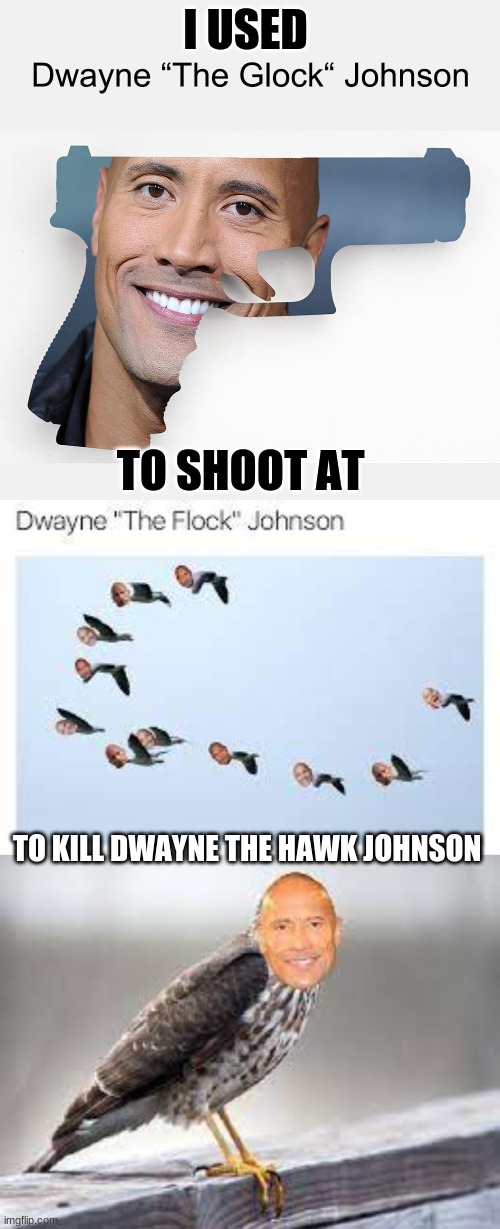 haha | I USED; TO SHOOT AT; TO KILL DWAYNE THE HAWK JOHNSON | image tagged in dwayne the glock | made w/ Imgflip meme maker