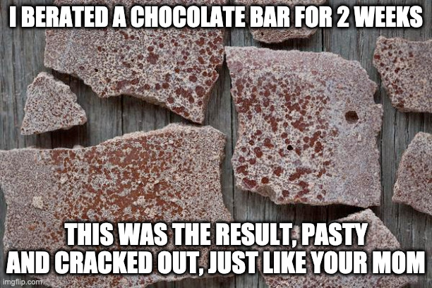I BERATED A CHOCOLATE BAR FOR 2 WEEKS; THIS WAS THE RESULT, PASTY AND CRACKED OUT, JUST LIKE YOUR MOM | image tagged in mom,mothersday,number7,menitrust | made w/ Imgflip meme maker