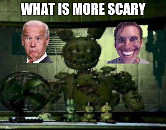 what is more scary | WHAT IS MORE SCARY | image tagged in fnaf springtrap in window | made w/ Imgflip meme maker