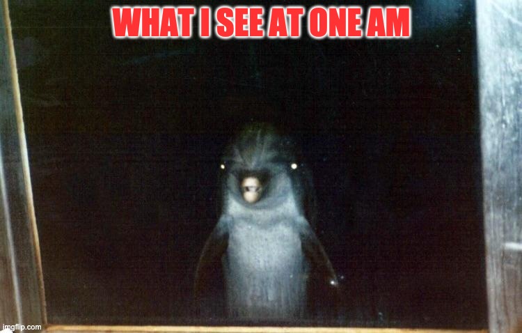 Demon dolphin | WHAT I SEE AT ONE AM | image tagged in demon dolphin | made w/ Imgflip meme maker