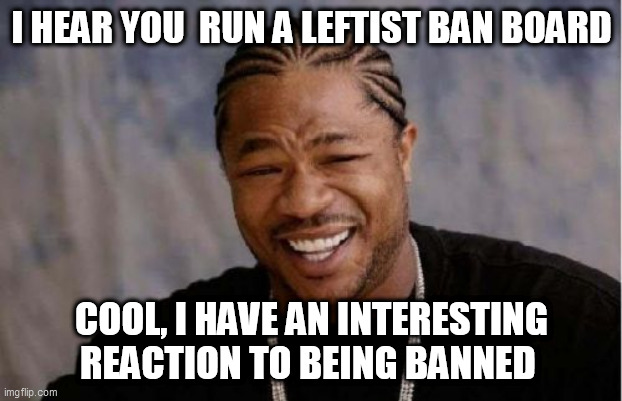 Yo Dawg Heard You | I HEAR YOU  RUN A LEFTIST BAN BOARD; COOL, I HAVE AN INTERESTING REACTION TO BEING BANNED | image tagged in memes,yo dawg heard you | made w/ Imgflip meme maker