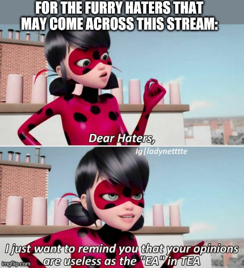 Dear haters | FOR THE FURRY HATERS THAT MAY COME ACROSS THIS STREAM: | image tagged in dear haters,furries,furry,anti furry | made w/ Imgflip meme maker