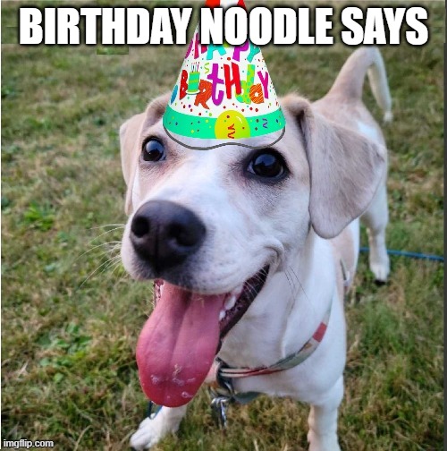 Birthday Noodle | BIRTHDAY NOODLE SAYS | image tagged in birthday noodle,birthday,noodle | made w/ Imgflip meme maker
