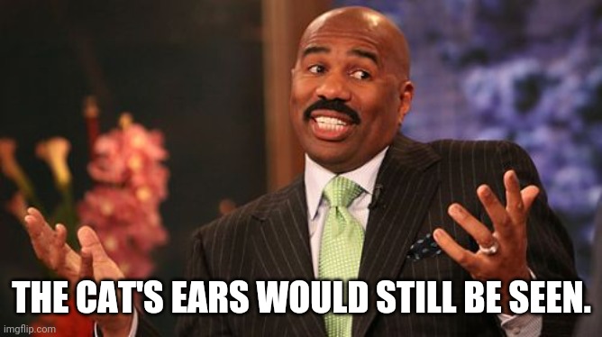 Steve Harvey Meme | THE CAT'S EARS WOULD STILL BE SEEN. | image tagged in memes,steve harvey | made w/ Imgflip meme maker