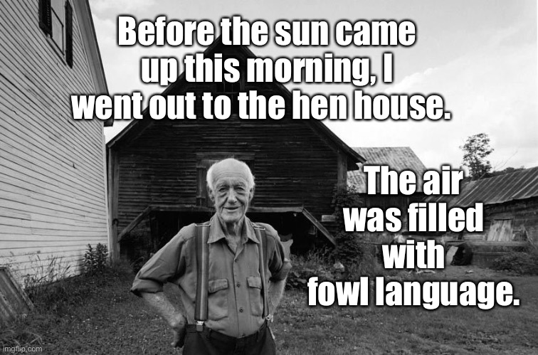 Fowl | Before the sun came up this morning, I went out to the hen house. The air was filled with fowl language. | image tagged in old farmer | made w/ Imgflip meme maker