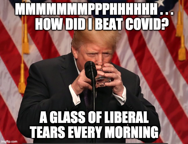 liberal tears - rohb/rupe | MMMMMMMPPPHHHHHH . . .       HOW DID I BEAT COVID? A GLASS OF LIBERAL TEARS EVERY MORNING | image tagged in liberal tears,trump | made w/ Imgflip meme maker