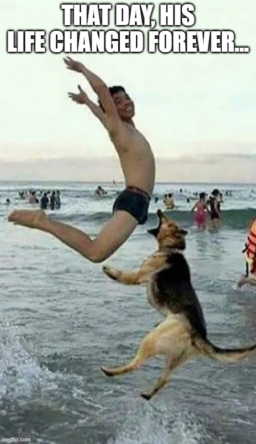 Life Change | THAT DAY, HIS LIFE CHANGED FOREVER... | image tagged in life,change,bad dog,jump,life is hard,dog bite | made w/ Imgflip meme maker