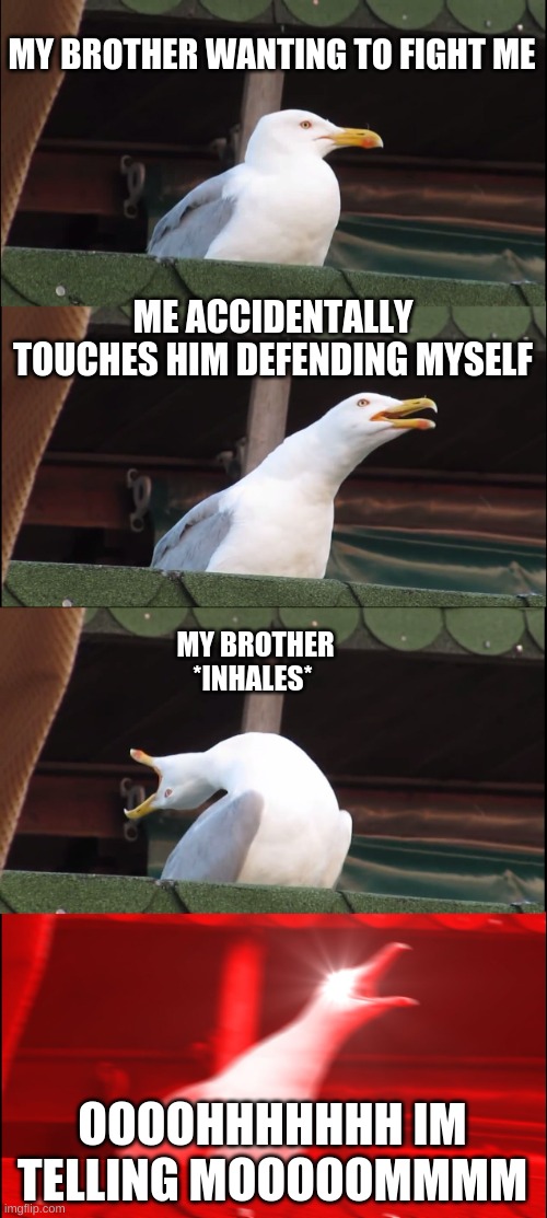 Inhaling Seagull | MY BROTHER WANTING TO FIGHT ME; ME ACCIDENTALLY TOUCHES HIM DEFENDING MYSELF; MY BROTHER *INHALES*; OOOOHHHHHHH IM TELLING MOOOOOMMMM | image tagged in memes,inhaling seagull | made w/ Imgflip meme maker