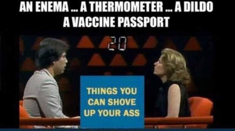 Things you can shove up your ass | image tagged in vaccine passport,dildos,enema,thermometer,anal beads,anal probes | made w/ Imgflip meme maker