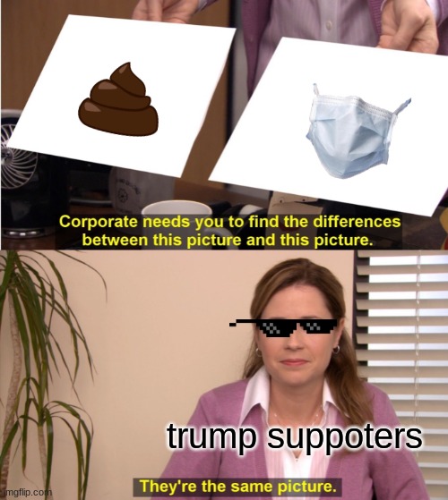 They're The Same Picture | trump suppoters | image tagged in memes,they're the same picture | made w/ Imgflip meme maker