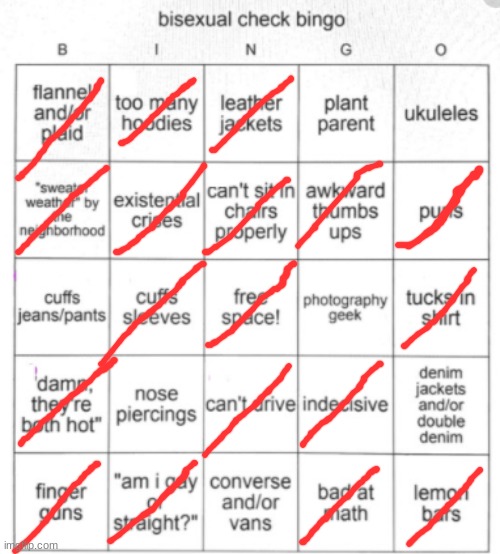 Bisexual Bingo | image tagged in bisexual bingo | made w/ Imgflip meme maker