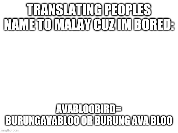 Blank White Template | TRANSLATING PEOPLES NAME TO MALAY CUZ IM BORED:; AVABLOOBIRD= BURUNGAVABLOO OR BURUNG AVA BLOO | image tagged in blank white template | made w/ Imgflip meme maker