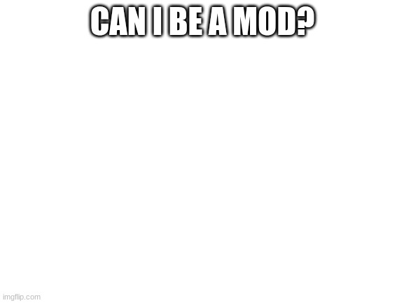 May I be a mod? | CAN I BE A MOD? | image tagged in blank white template | made w/ Imgflip meme maker