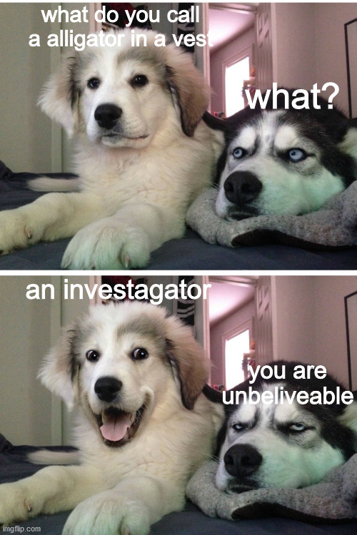 :( | what do you call a alligator in a vest; what? an investagator; you are unbeliveable | image tagged in bad pun dogs | made w/ Imgflip meme maker