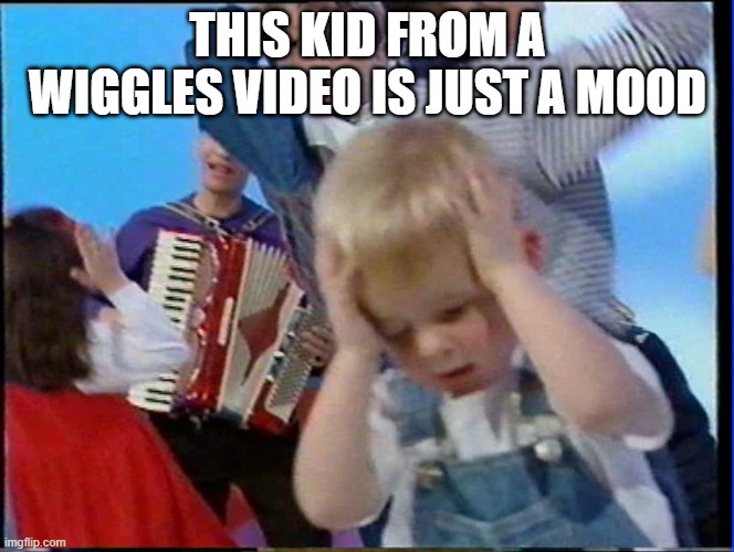dumb meme | THIS KID FROM A WIGGLES VIDEO IS JUST A MOOD | image tagged in meme | made w/ Imgflip meme maker