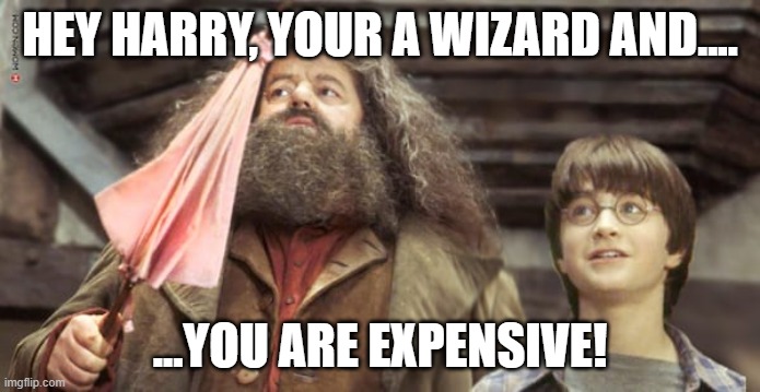 Your expensive Harry | HEY HARRY, YOUR A WIZARD AND.... ...YOU ARE EXPENSIVE! | image tagged in harry potter meme | made w/ Imgflip meme maker