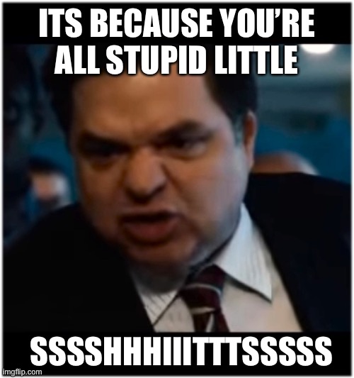 you stupid shit | ITS BECAUSE YOU’RE ALL STUPID LITTLE; SSSSHHHIIITTTSSSSS | image tagged in you stupid shit | made w/ Imgflip meme maker