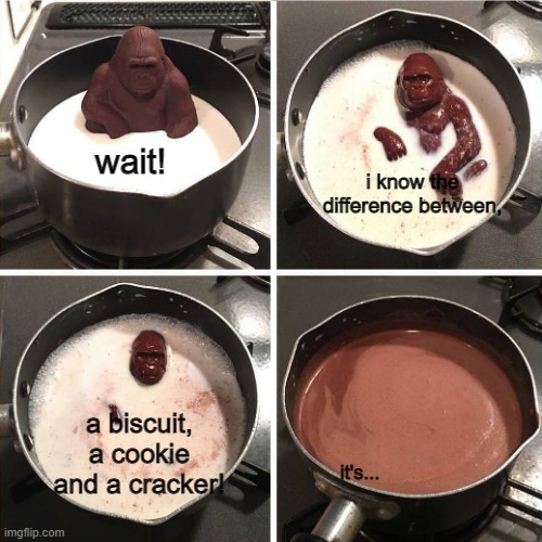 please for the love of void nobody did this already. | wait! i know the difference between, a biscuit, a cookie and a cracker! it's... | image tagged in melting gorilla,i don't know what to put in tags | made w/ Imgflip meme maker