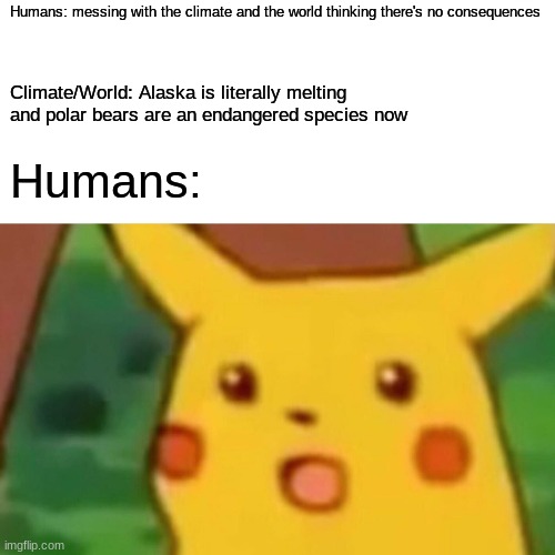 Climate Change | Humans: messing with the climate and the world thinking there's no consequences; Climate/World: Alaska is literally melting and polar bears are an endangered species now; Humans: | image tagged in memes,surprised pikachu,politics | made w/ Imgflip meme maker