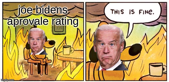 Joe Biden Is Screwed | joe bidens aprovale rating | image tagged in memes,this is fine,joe bidne,joe bidens aprovale rating | made w/ Imgflip meme maker
