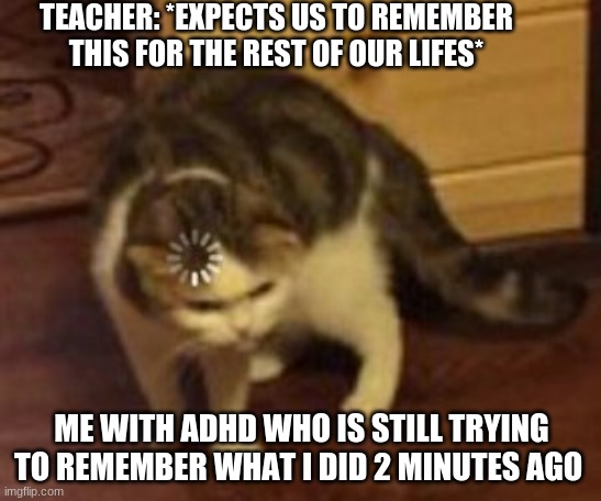 i have adhd if you have adhd comment i want to know how many people who has adhd had seen this | TEACHER: *EXPECTS US TO REMEMBER THIS FOR THE REST OF OUR LIFES*; ME WITH ADHD WHO IS STILL TRYING TO REMEMBER WHAT I DID 2 MINUTES AGO | image tagged in loading cat,adhd | made w/ Imgflip meme maker