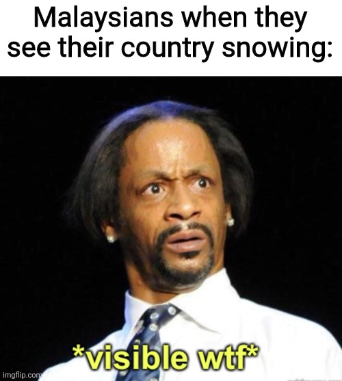 i never seen snow falling from the sky in my life, i wonder if malaysia had a snowy day once | Malaysians when they see their country snowing: | image tagged in visible wtf | made w/ Imgflip meme maker