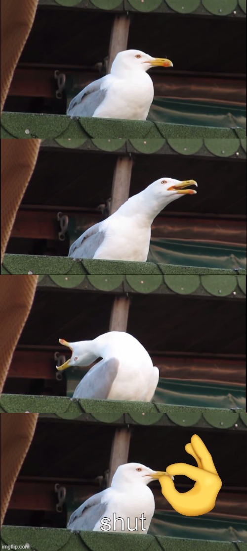 when someone is about to spam | shut | image tagged in memes,inhaling seagull | made w/ Imgflip meme maker