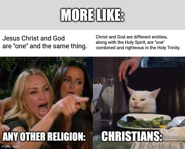 Woman Yelling At Cat Meme | Jesus Christ and God are "one" and the same thing. Christ and God are different entities, along with the Holy Spirit, are "one" combined and | image tagged in memes,woman yelling at cat | made w/ Imgflip meme maker