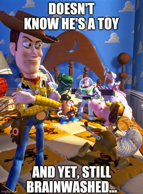 Doesn't know he's a toy and yet, still brainwashed... | DOESN'T KNOW HE'S A TOY; AND YET, STILL BRAINWASHED... | image tagged in toy story new toy | made w/ Imgflip meme maker