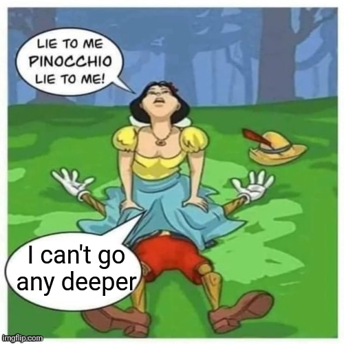 Lie to me Pinocchio | I can't go
any deeper | image tagged in lie to me pinocchio | made w/ Imgflip meme maker