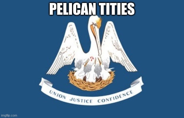PELICAN TITIES | made w/ Imgflip meme maker